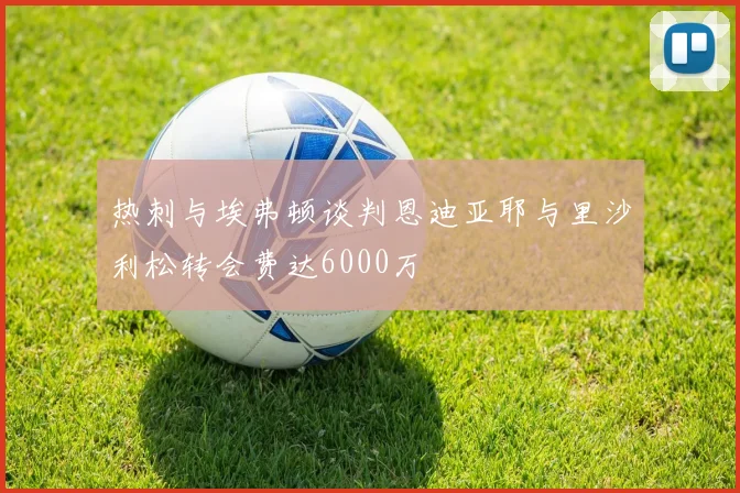 热刺与埃弗顿谈判恩迪亚耶与里沙利松转会费达6000万